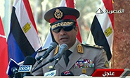 Egipto: La Presidencia respalda el llamamiento del Ejército