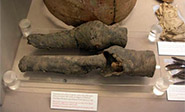 Las piezas que se conservan en Turín pertenecen a Nefertari