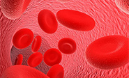 Desarrollan células madre de la sangre en laboratorio