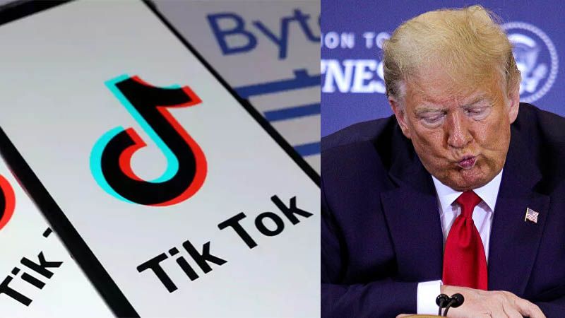 Elite TikTok: as&iacute; fue el sabotaje que enfureci&oacute; a Donald Trump en plena campa&ntilde;a