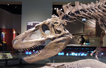 Identifican nuevos fósiles de grandes dinosaurios carnívoros
