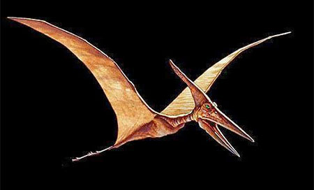 El Pteranodon, obra original de Joe Tucciarone