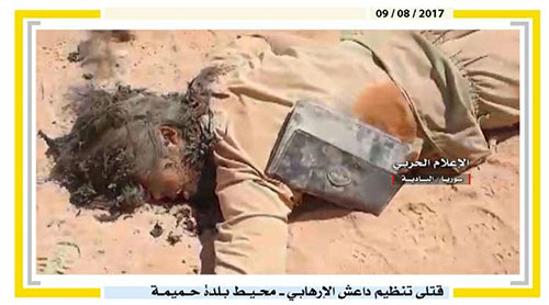 muertos de Daesh