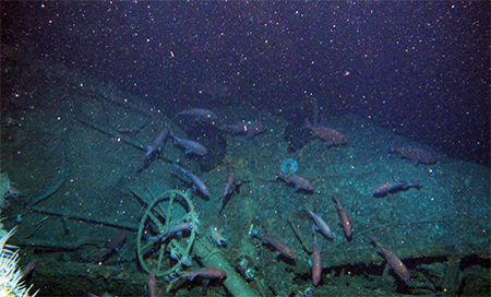 Un submarino australiano hundido en la I Guerra Mundial