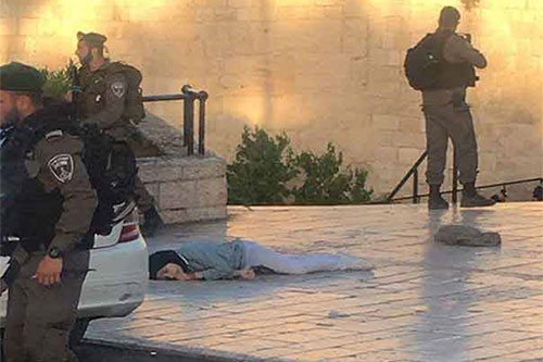 Fuerzas sionistas de ocupación asesinan a disparos a una joven palestina