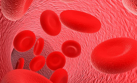 Células madre de la sangre