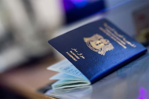 Daesh tiene en su poder once mil pasaportes sirios en blanco
