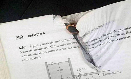 El libro que salvó la vida de un estudiante