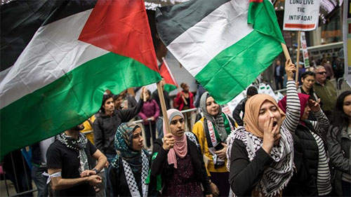 manifestación de apoyo a la causa palestina