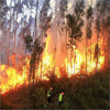 Alerta en Ecuador por incendios forestales
