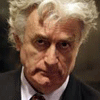 Karadzic se defiende: "Nunca pensé que pod&#237a haber un genocidio"
