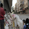 Turquía, Qatar y otros... pagan en dólares a “rebeldes” sirios
