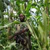3.500 habitantes del RDC abandonan sus hogares por temor a los milicianos Mayi Mayi