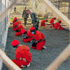 Detenidos en Guant&#225namo realizan huelga de hambre