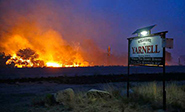 Mueren 19 bomberos en el incendio de Arizona