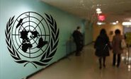 Pyongyang rechaza informe de la Comisi&#243n de Investigaci&#243n de la ONU