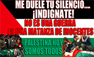 Apoyo de pa&#237ses latinoamericanos a Gaza