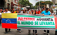 América Latina contin&#250a su campa&#241a a favor de palestina