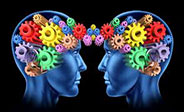 En el marco de un estudio cient&#237fico consiguen conectar 2 cerebros humanos