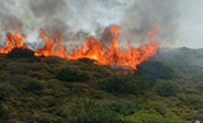 Grandes incendios forestales afectan el sur de Australia 