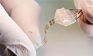 Un nuevo implante flexible que cura lesiones medulares
