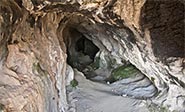 Los neandertales vivieron con los osos en la Cueva de les Llenes 