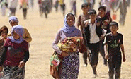 Los ayzidíes piden a La Haya que investigue como genocidio su persecución