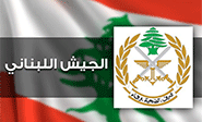 El Ejército libanés incauta armas y municiones de Daesh