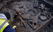 Descubren en RU un poblado de la Edad de Bronce de hace 3.000 años