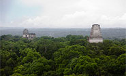 Posible descubrimiento de una ciudad maya ubicada en selva de Yucatán
