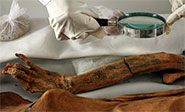 Encuentran en Egipto una momia de hace 3.800 años 