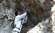 Encuentran en Siberia petroglifos de la edad del Bronce