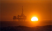 Economista cree que precio del barril de petróleo caerá hasta 10 dólares 