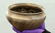 Descubren en Dinamarca una olla con corteza amarillenta de hace 3.000 años 