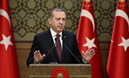 Turquía: Aprueban la reforma constitucional que permite un sistema presidencial