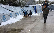 Alarma ante las graves condiciones de vida en los campamentos griegos