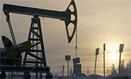 Colapso en el mercado de petróleo