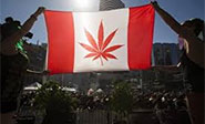 Senado de Canadá aprueba legalización de marihuana