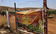 Tribunal israelí legaliza una colonia judía en una propiedad privada palestina