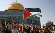 Palestina demanda a EEUU ante la Corte Internacional de Justicia de la ONU