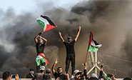 Hezbolá Felicita a los palestinos por la victoria de Gaza ante la agresión israelí