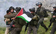 La ONU denuncia crímenes de la ocupación israelí en Palestina