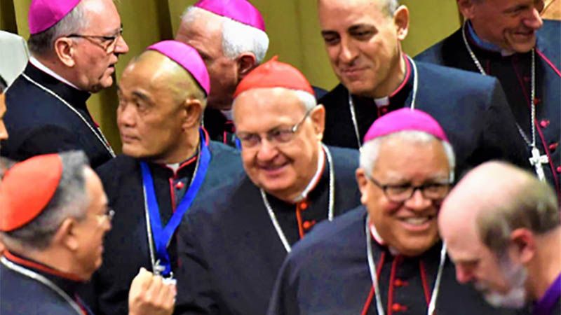 Obispos latinoamericanos levantan la voz por el Amazonas