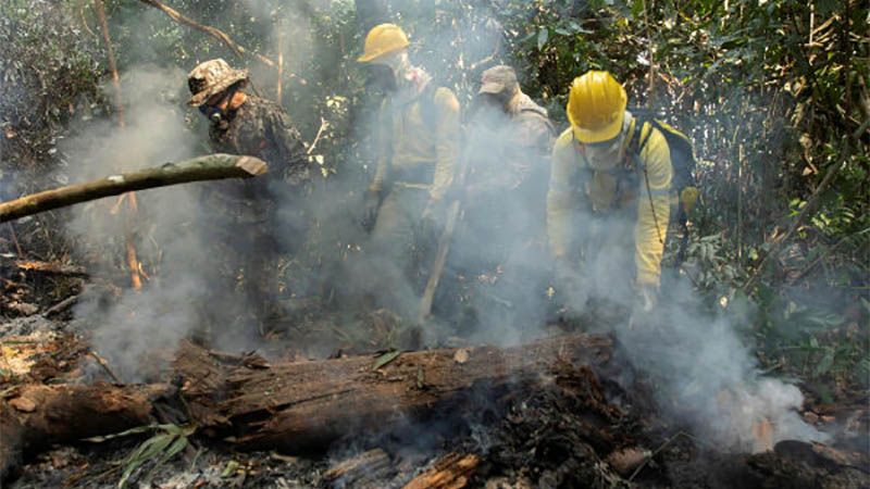 Identifican a tres sospechosos de causar incendios en la Amazonia