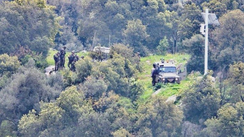 Soldados israel&iacute;es hieren y secuestran a un pastor en frontera libanesa