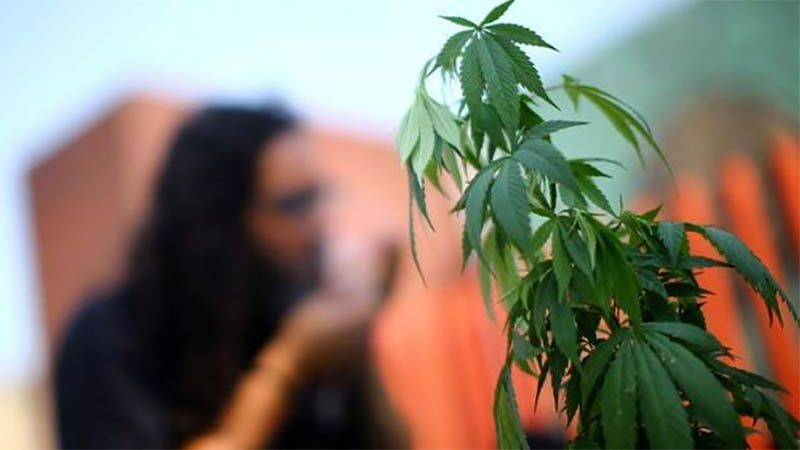 Nueva York aprueba un proyecto de ley para legalizar la marihuana recreativa