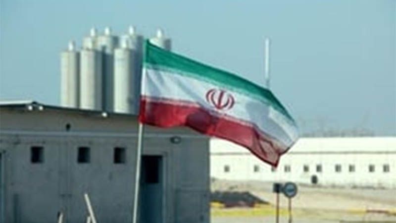 La central nuclear iran&iacute; de Bushehr reanuda operaciones