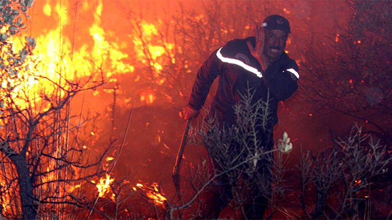 Al menos 65 muertos en varios incendios en el norte de Argelia