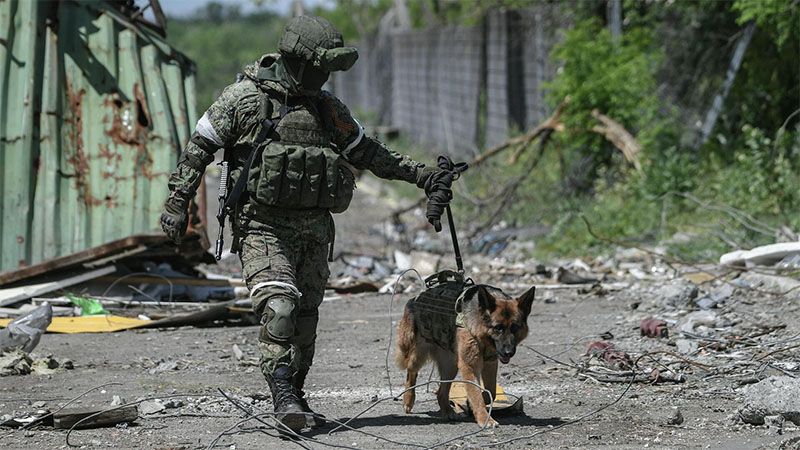 El ej&eacute;rcito ruso anuncia la liberaci&oacute;n completa de barrios residenciales de Severodonetsk