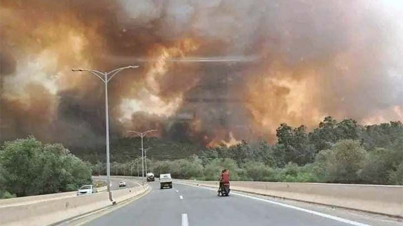 Mueren 26 personas por los incendios forestales en el norte de Argelia